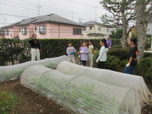 みなみすげ農園